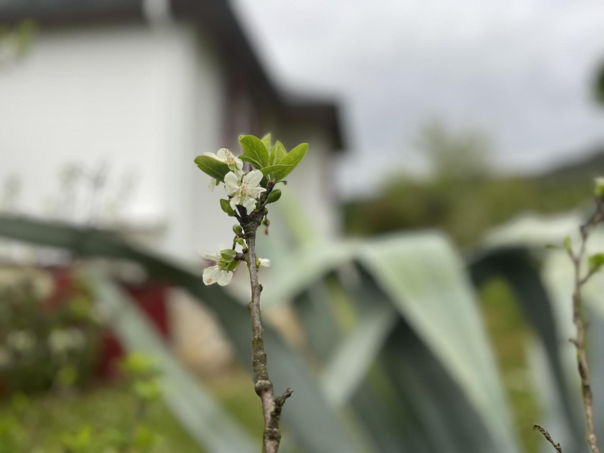 אורנסה A Casina Casa Rural En Galicia חדר תמונה